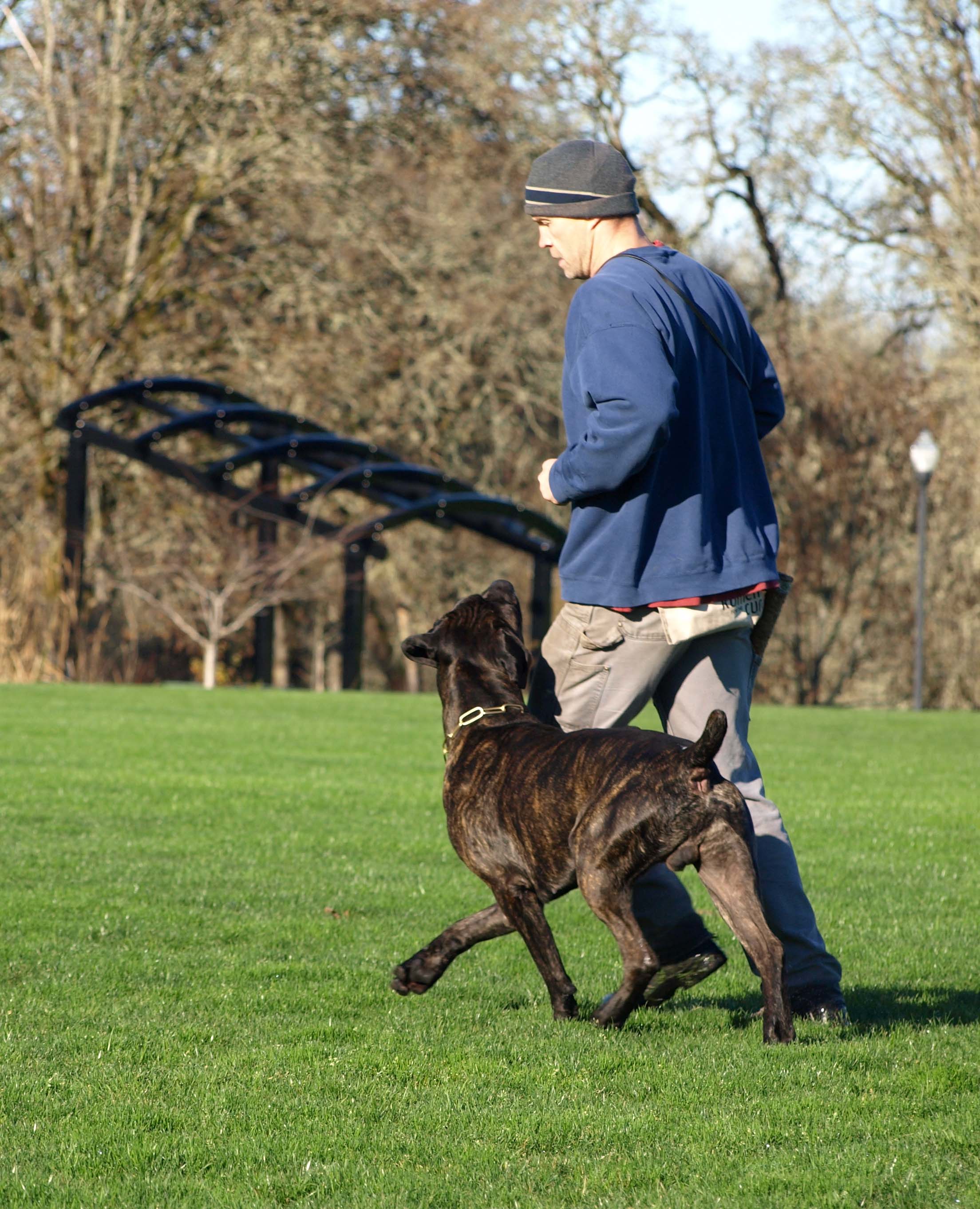 IMK9 Cane Corso Sniper
