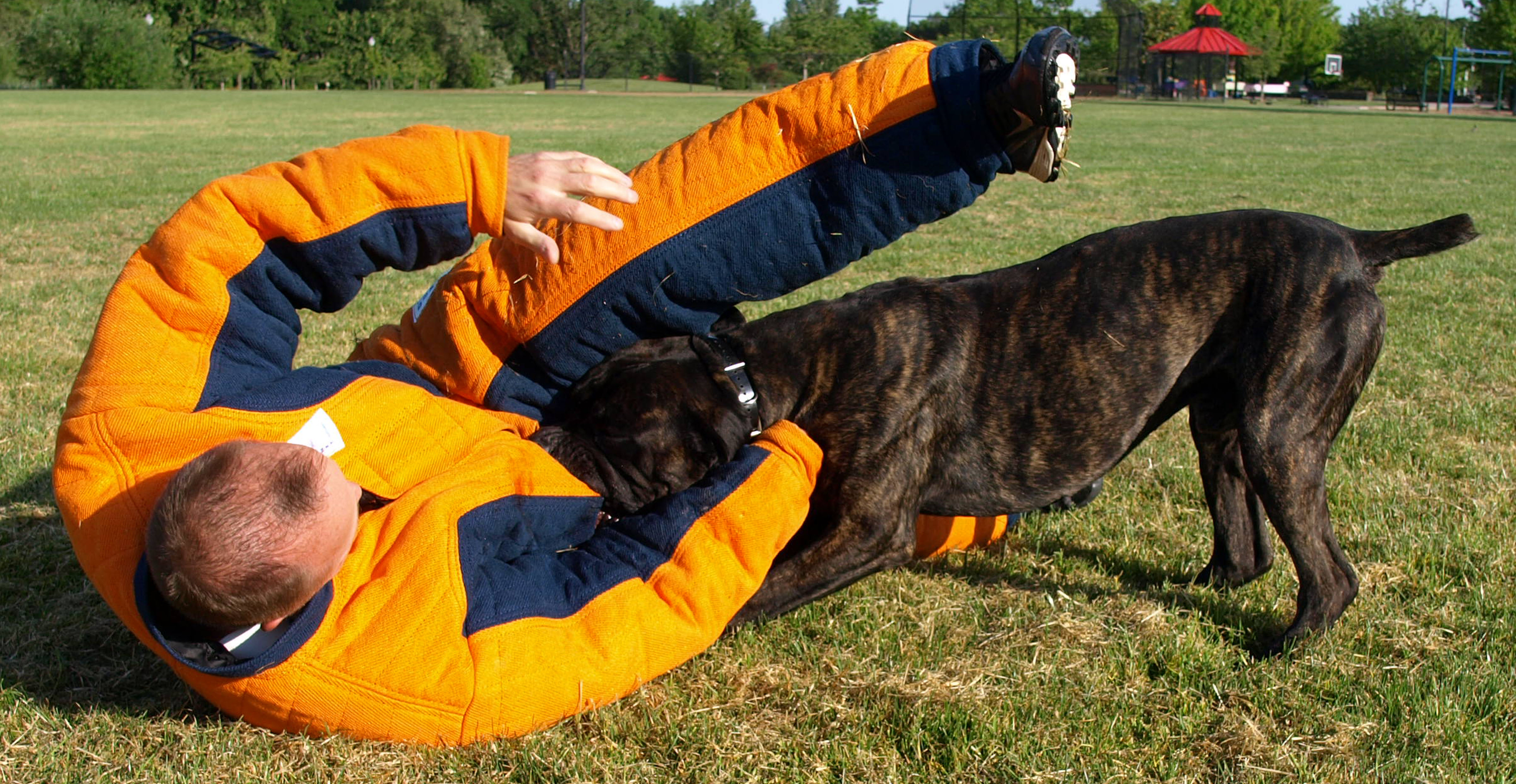 IMK9 Cane Corso Sniper