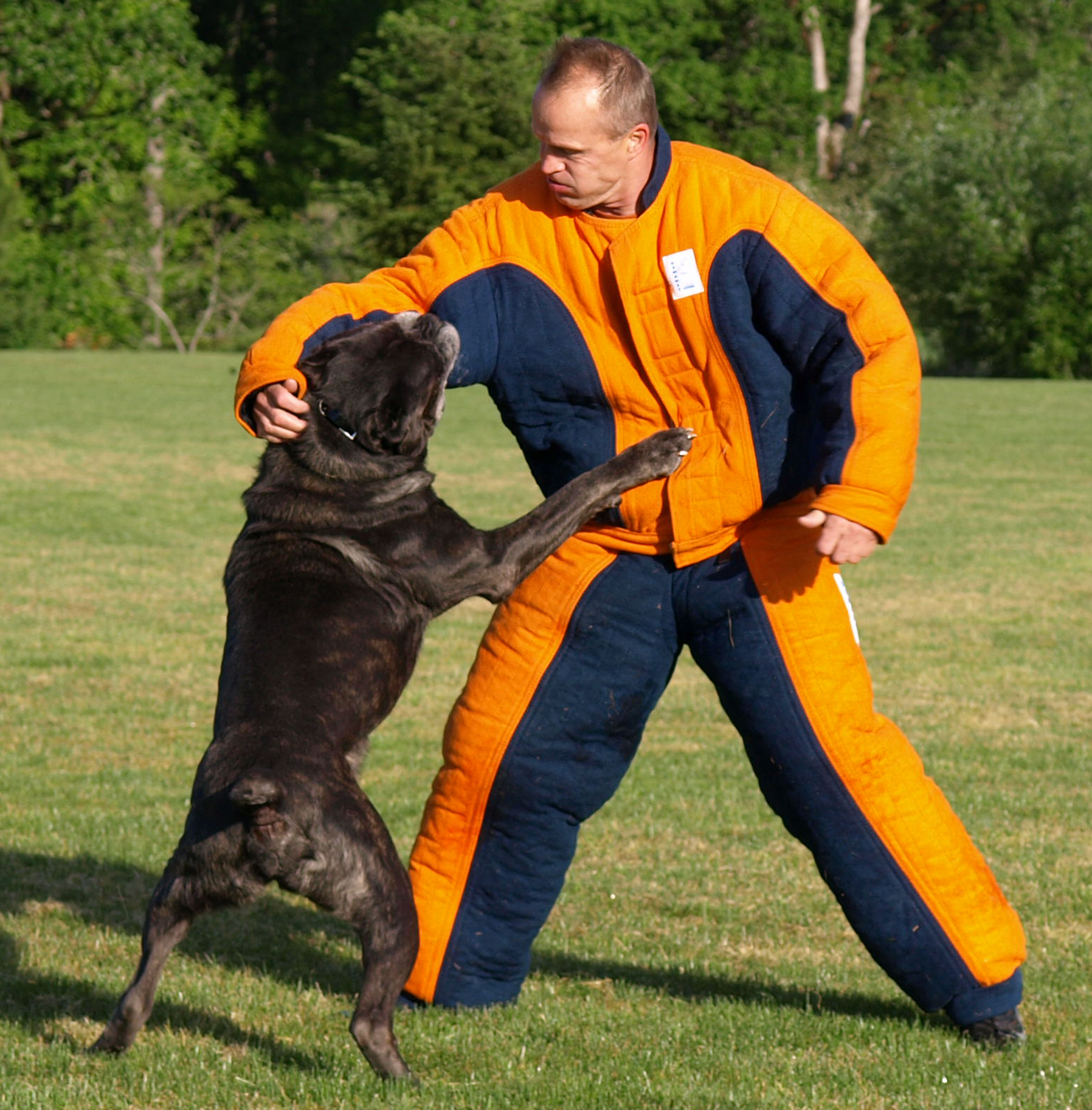 IMK9 Cane Corso Soldier
